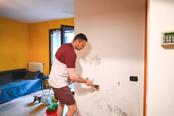 Best Emergency Mold Remediation in Okeechobee, FL